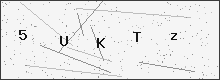 Security verification code